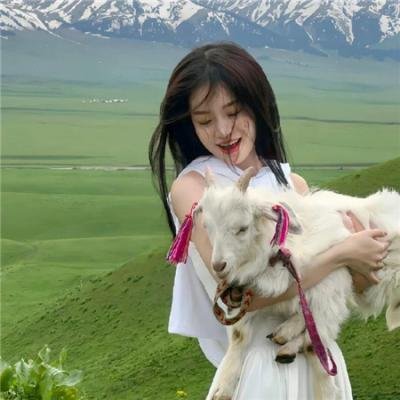 史前狂鲨